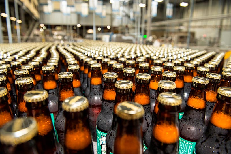 Filled beer bottles on packaging line