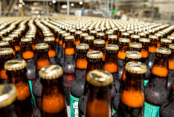 Filled beer bottles on packaging line