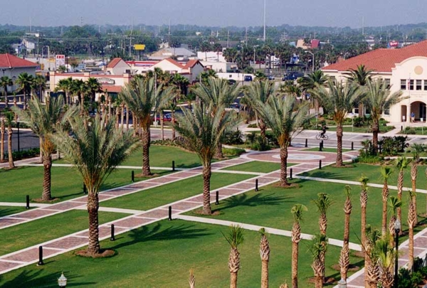 Palm trees line brick sidewalks that lead throughout the location.