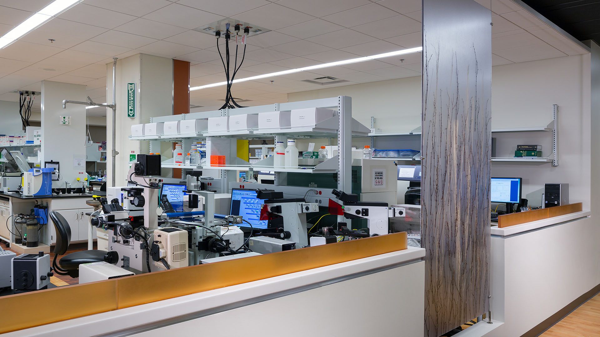 Emory University Hospital Laboratory Atlanta,