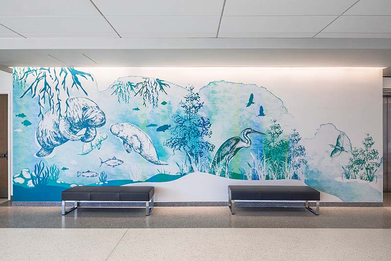 The visual impact was an important part of the project. There are murals on several walls extending the biome themes from Wolfson Children’s Hospital, plus the hospital commissioned five pieces of art for key locations in the building.