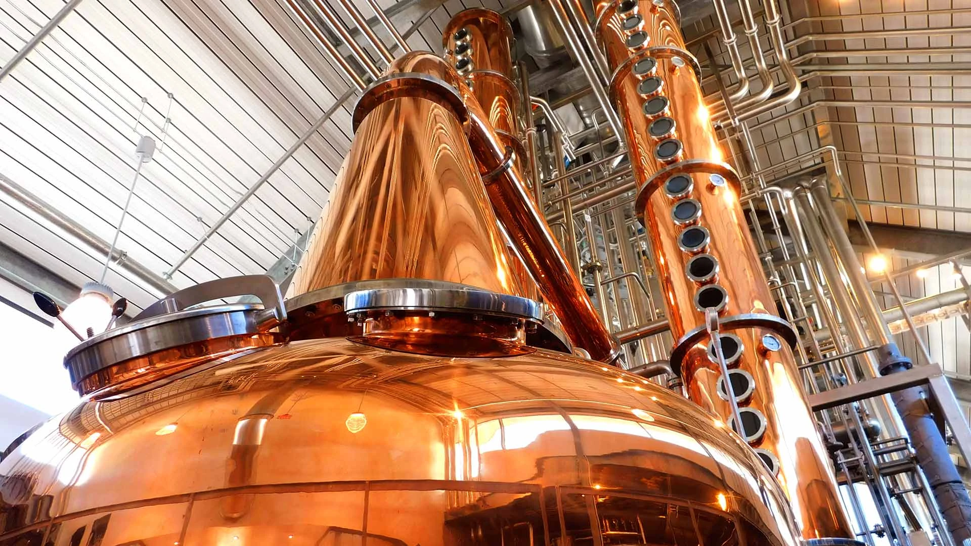 Beer, Wine & Spirits