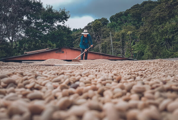 Part of being a conscious consumer is understanding that many of the things that are part of everyday life come from long, complex value streams that affect unseen and unacknowledged environments and communities.