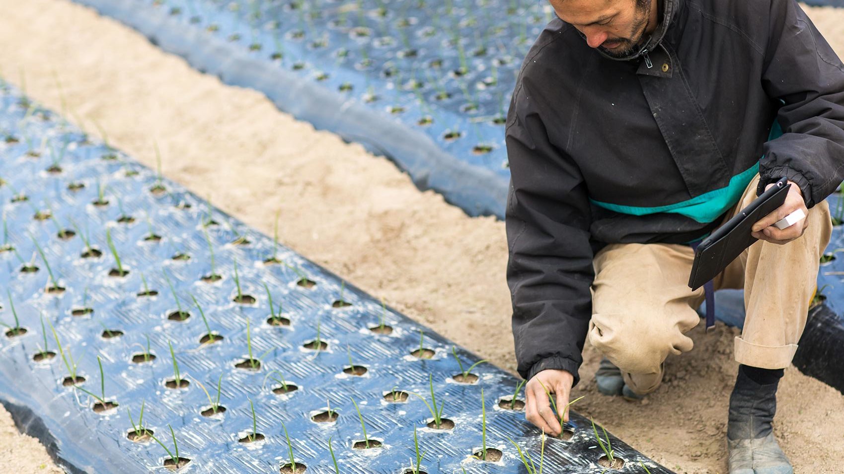 Bio-Conversion file photo|Bio-Conversion file photo||