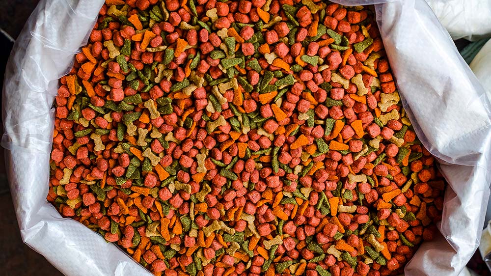 Natural Colors and Flavors: The New Standard in Pet Food