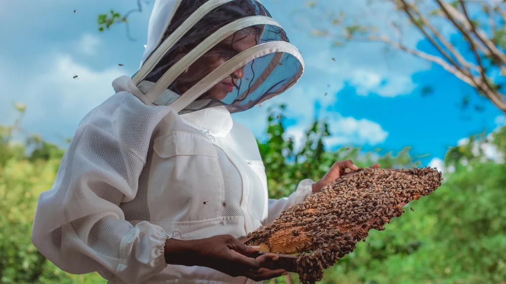 Grace Foster-Reid grew up in Jamaica, where she founded Ecofarms, a beekeeping farm that provides employment to local community members.