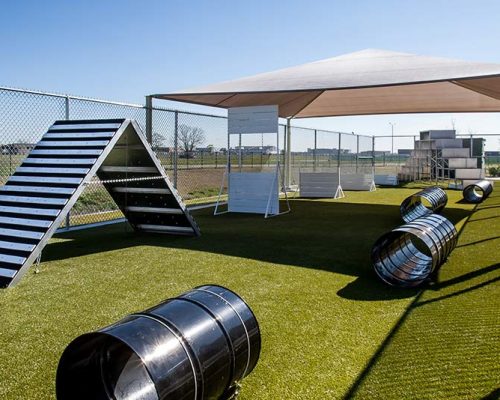 Fenced K-9 training yard with obstacle course and shade canopy