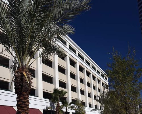 Exterior photo of the City of Jacksonville parking garage. Close up photo of the side. Palm tree and another tree frame the photo.