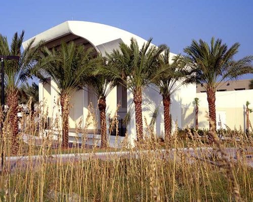 Exterior photo of Sea Walk Pavilion. Palm trees and tall grass obscure the view of the building.