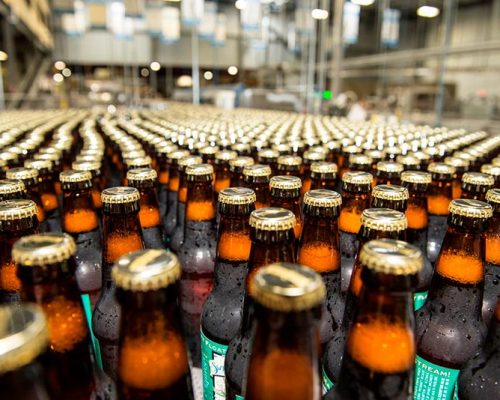 Filled beer bottles on packaging line
