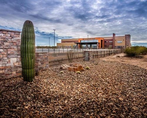 Exterior photo of TMC Rincon Health Campus in the desert. Cactus and rocks are in the foreground of the photo.